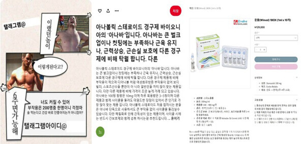 단백동화스테로이드 등 온라인 불법유통 적발 사례. 사진=식약처