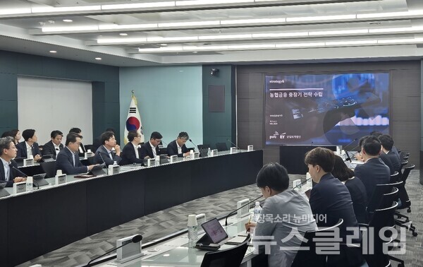 NH농협금융은 지난달 29일 농협금융지주 본사에서 이재호 부사장 주재로 농협금융 중장기 전략 수립을 위한 컨설팅 착수 보고회를 개최했다. NH농협금융 제공