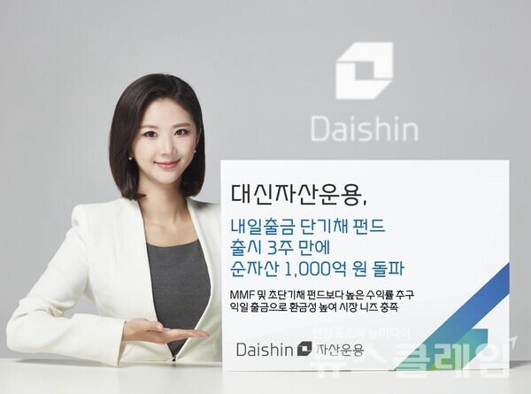 대신자산운용 제공