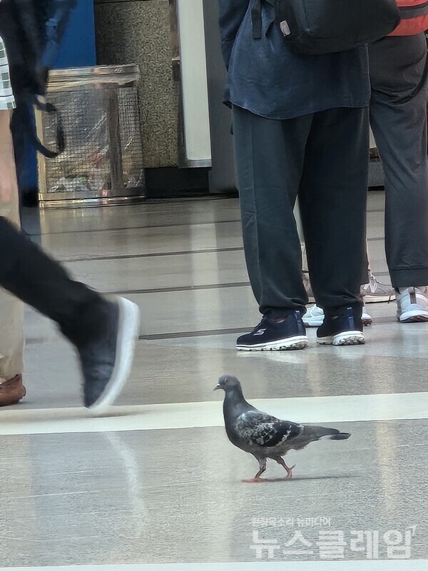 사진=박명규 기자