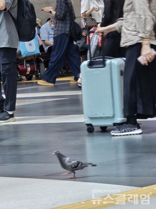 사진=박명규 기자