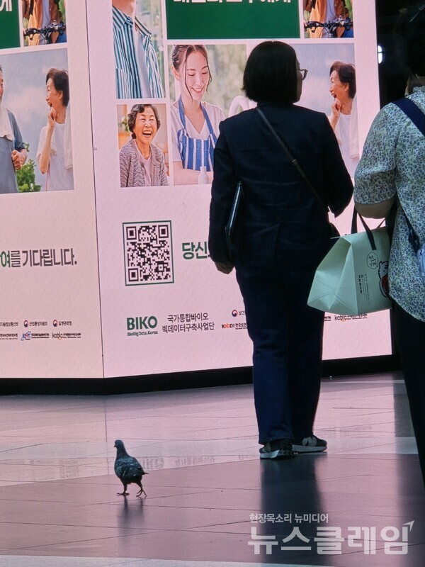 사진=박명규 기자