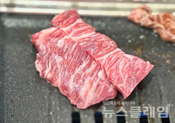 사진=김대식 객원위원