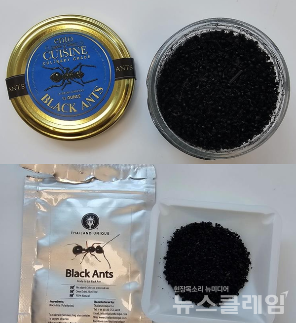 미국산 개미(위)와 태국산 개미. 사진=식약처