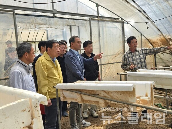 21일 NH농협금융지주 이찬우 회장이 충남 홍성군 침수 피해를 입은 딸기 농가를 찾아 농업인의 피해 현황과 애로사항을 청취하고 있다. NH농협금융지주 제공