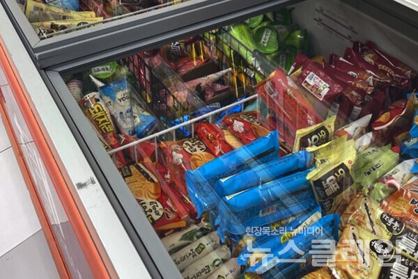 김동환 사장의 빙그레 등 제조사가 만든 아이스크림 상품이 서울 한 편의점에 진열돼 있는 모습. 사진=손혜경 기자