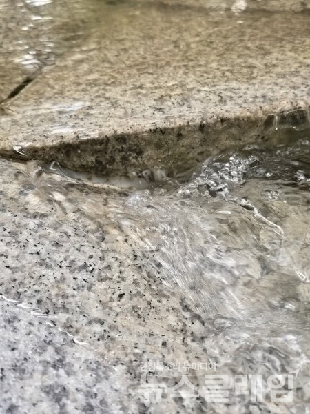 기상청 일기예보 오늘 날씨