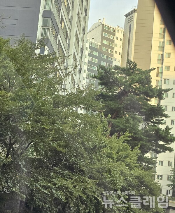 기상청 일기예보 오늘 날씨.