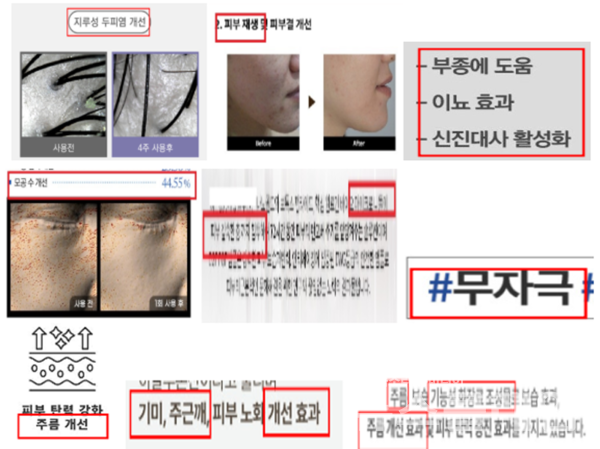 최근 1년간 화장품 영업자 행정처분 결과를 분석한 결과 표시·광고(76%) 위반이 가장 많은 것으로 나타났다. 표시·광고 부당 광고 위반 사례. 사진=식약처