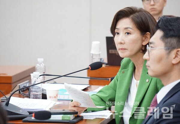 3일 더불어민주당이 "초선은 가만히 앉아있어"라고 발언한 나경원 국민의힘 의원을 국회 윤리특별위원회에 제소하는 것을 검토하겠다고 밝혔다. 사진=나경원 의원 페이스북