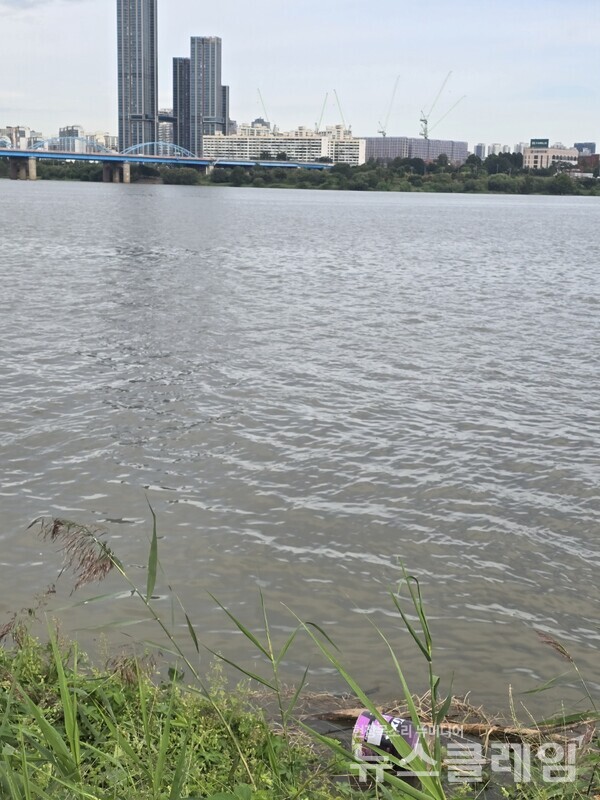 23일 한강변에 무단으로 버려진 GS칼텍스 오일통이 심각한 환경 오염을 보여주고 있다. 사진=김승후 기자