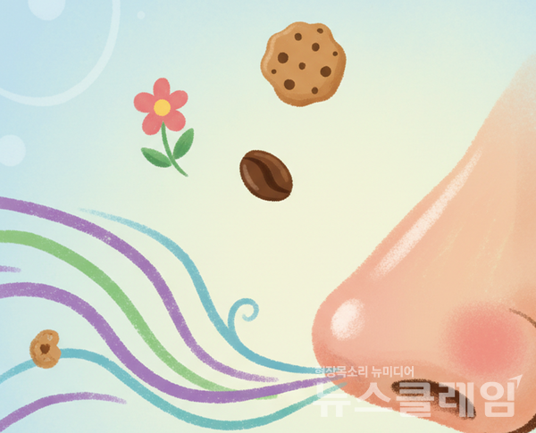 '냄세'와 '냄새' 중 올바른 표현은 '냄새'이다. 뉴스클레임DB