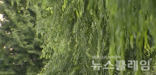 기상청 일기예보 내일 날씨