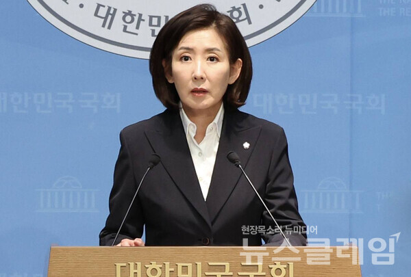 국민의힘 나경원 의원이 엔비디아의 대규모 GPU 공급 발표를 이재명 정부의 성과로 포장하는 것은 '도둑질'이라며 비판다. 사진=나경원 페이스북
