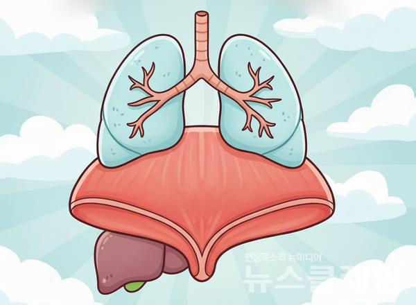 '횡경막'과 '횡격막' 중 올바른 표현은 '횡격막'이다. 뉴스클레임DB