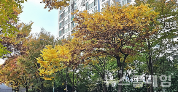 기상청 일기예보에 따르면 완연한 가을 날씨를 보인 4일에 이어 5일에도 전국이 대체로 맑겠고, 제주도는 대체로 흐리겠다. 사진=강민기 기자