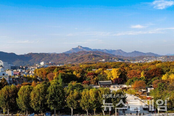 단풍으로 물들어 간 종묘의 모습. 사진=최인기 빈민운동가