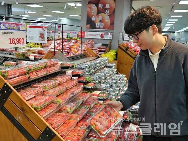롯데마트가 용기에 부착된 라벨을 제거한 '무라벨 설향 딸기'를 선보였다. 롯데마트 제공