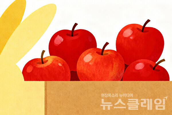 '개수'와 '갯수' 중 올바른 표현은 '개수'다. 뉴스클레임DB