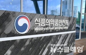 소비기한 지난 수입 원료, '초코베이스'로 둔갑... "섭취 중단·회수" - 뉴스 썸네일 이미지