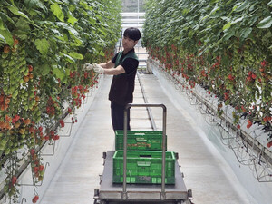 '나눔의 선순환'으로 상생 경영 - 뉴스 썸네일 이미지